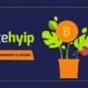 LiteHYIP – Simple HYIP Investment Platform 2.0 - Premium HYIP